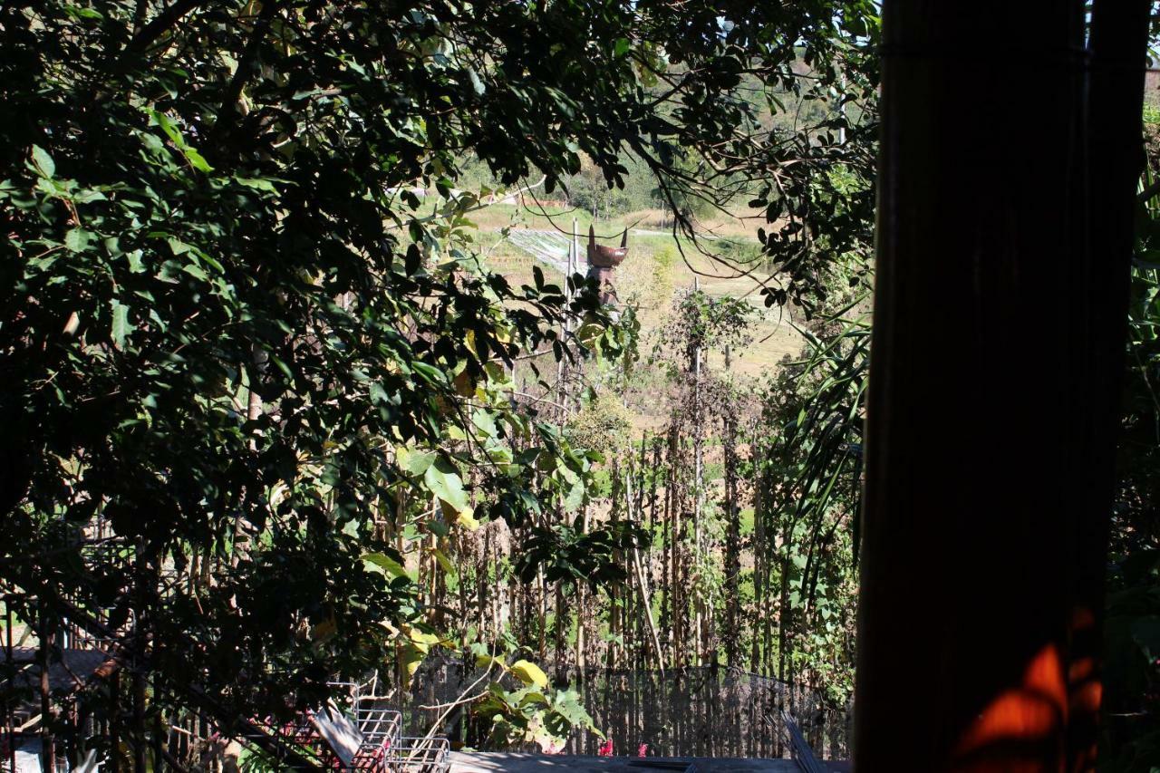 Phuphet Hill Resort ภูเรือ ภายนอก รูปภาพ